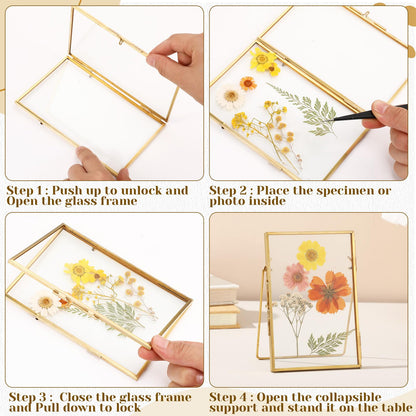 Vicenpal 5 Pack Glass Pressed Flower Frame Handmade, 5 x 7 floating Picture Frames for Pressed Flowers, Brass Double Glass for Tabletop Display, Home Office Plant Specimen, Photos(Gold)