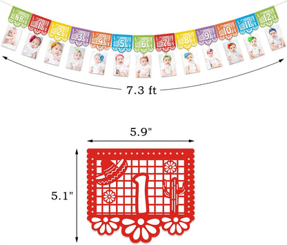 Kitticcino 1st Birthday Photo Banner, Papel Picado Mexican Fiesta Monthly Garland, Baby Newborn to 12 Months, Cino de