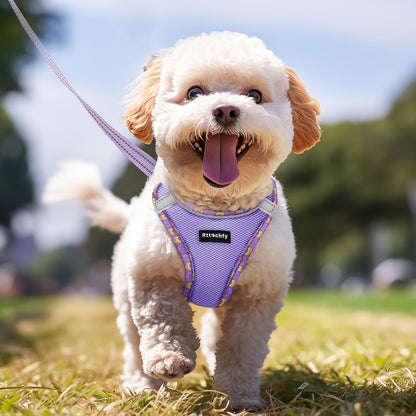 Rttochfy Small Dog Harness, Soft and Reflective Puppy Harness, Dog Harness and Leash Set for Small Size Dogs Training, Walking (Blue M)