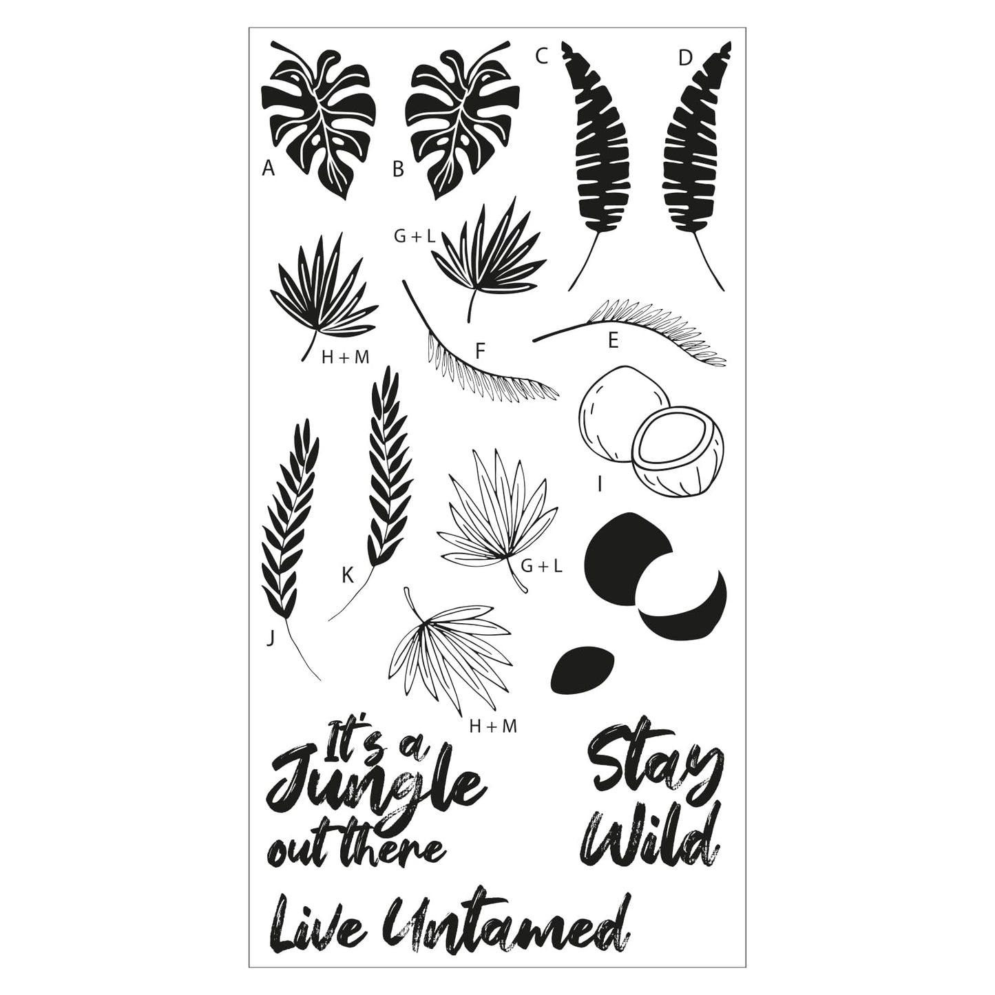 Sizzix Clear Stamps Set – Stay Wild by Catherine Pooler