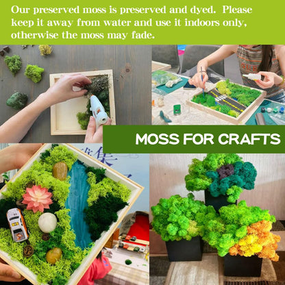 Preserved Reindeer Craft Moss-17.6oz Natural Green DIY Kit Gardenning Art Wall Florist Moss Terrariums Gardenning Decor Landscape Garden Decor(Leaf Green 17.6 OZ)
