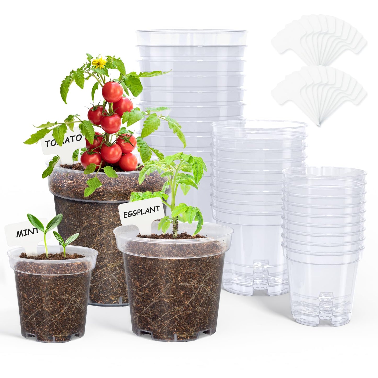homenote Clear Nursery Pots for Plant,3/4/5 Inch Plant Pot for Planting Plastic Seedling with Drainage Holes Seed Starter Flower High Transparency 20 Labels Excellent Hardness(30 Pack)