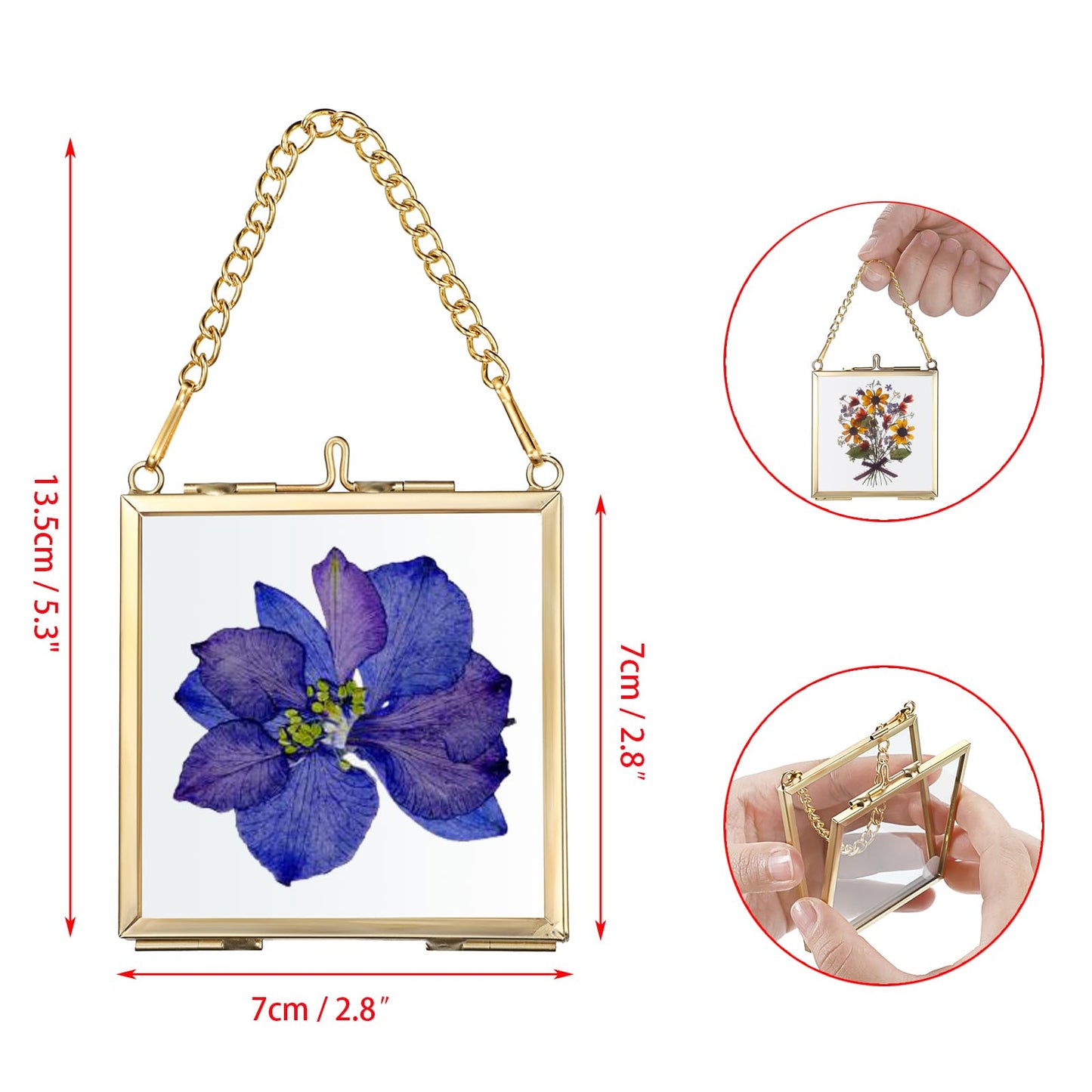 JUXYES 4 Pack Wall Hanging Mini Brass Frames for Pressed Flowers Art, Square Glass Hanging Dried Flowerss Artwork Display Frame, Double Glass Floating Style Gallery Wall Frame for Picture, Pressed Flower, etc