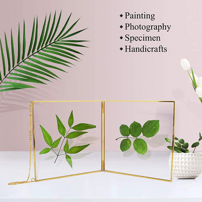 TLBTEK 2 PCS 8x8 inch Brass Hanging Photo Frame,Double Glass Frame for Pressed Flowers,Clear DIY Vintage Artwork Display Frame Wall Mounted Photos Frame