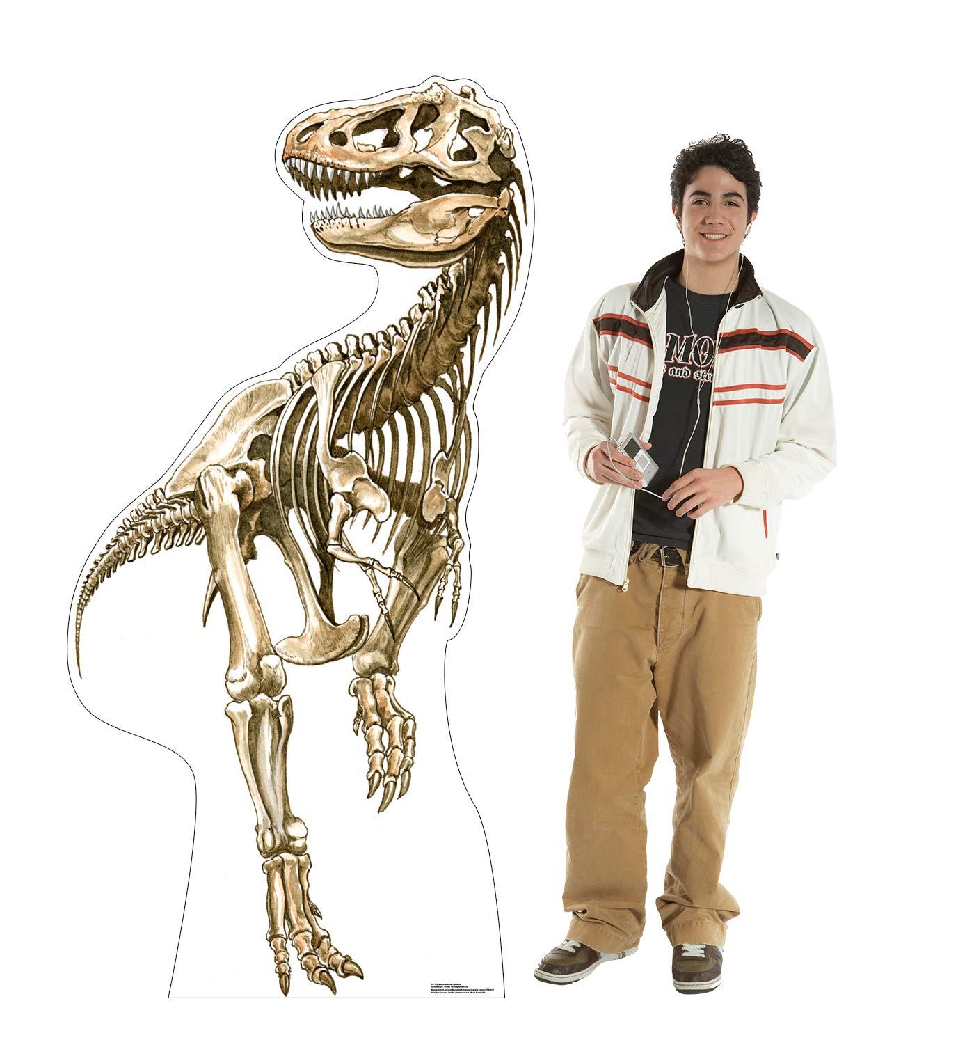 Cardboard People Tyrannosaurus Rex Skeleton Life Size Cardboard Cutout Standup