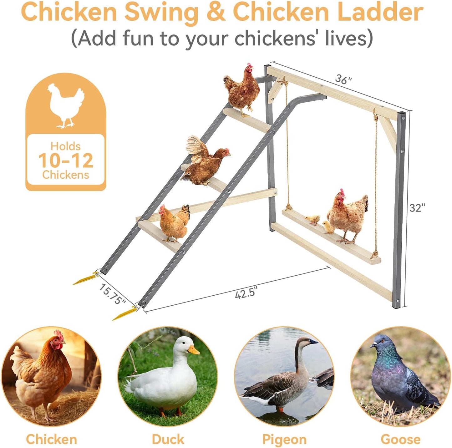 PETSFIT Chicken Perch for Coop-Solid Wood and Rustproof Iron Roosting Bar with Swing - Ideal for Backyard Poultry