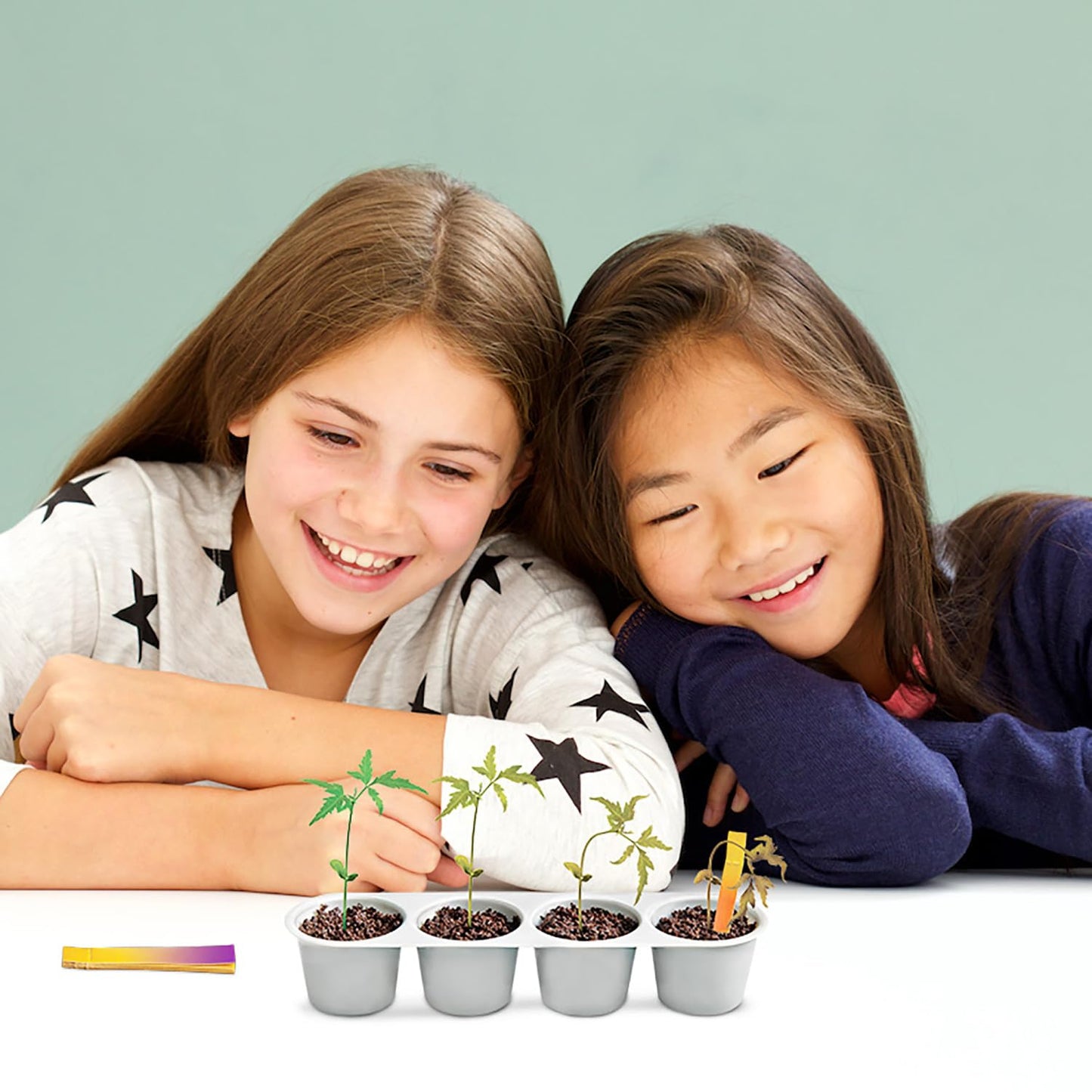 4M: Green Science - Weather Science - DIY Mini Observatory Kit, Static Electricity, Lightning-Cloud Formation, Build A Water Cycle Model, STEAM Kid 5+