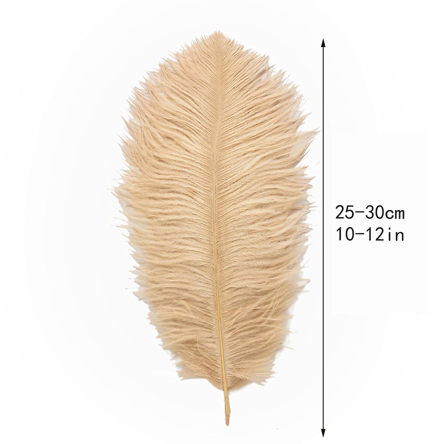 Ballinger Champagne Ostrich Feathers Bulk - 24pcs 10-12inch Boho Feathers for vase and Home Decor Wedding Party Centerpieces