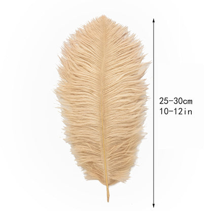 Ballinger Champagne Ostrich Feathers Bulk - 24pcs 10-12inch Boho Feathers for vase and Home Decor Wedding Party Centerpieces