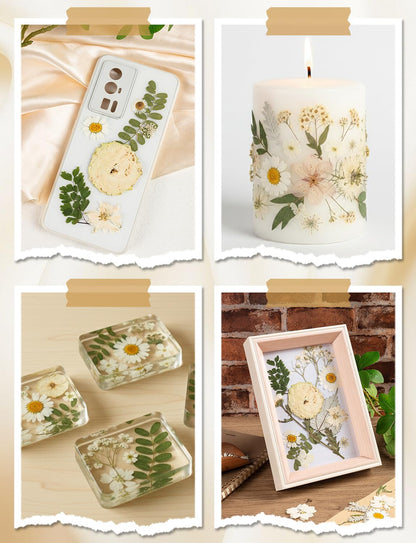 100pcs White and Light Yellow Dried Pressed Flowers Bulk, Natural Fall Pressed Dried Flowers with Tweezer for DIY Crafts Resin Mold Candles Cake Bridal Scrapbooking Supplies