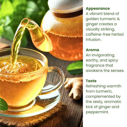 (60 Bags/120 Cups) Rachel’s Tea: Turmeric, Wild Yam, Ginger, Marshmallow, Chamomile, Peppermint, Fennel Slippery Elm
