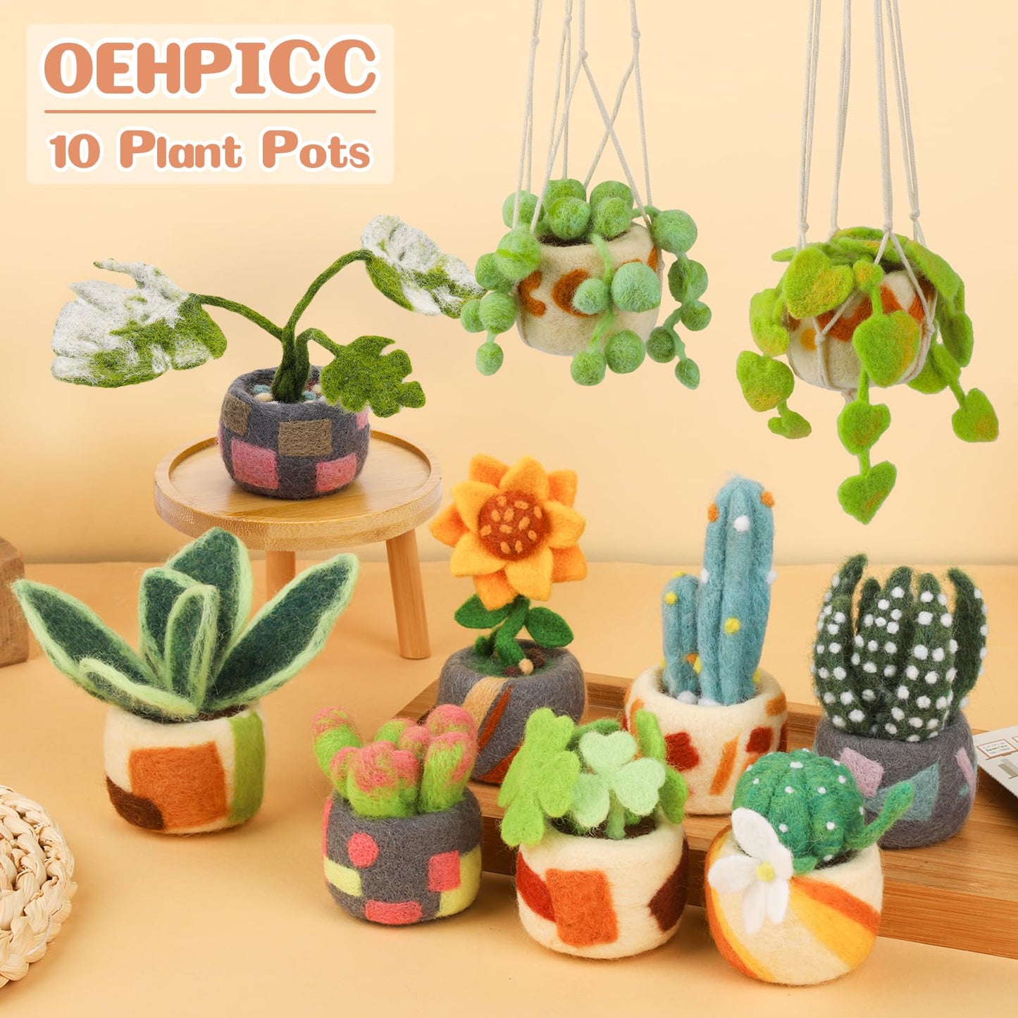 OEHPICC Needle Felting Kit - 10 Pack Plant Pot Needle Felting Starter Kit, Felting Kits with Basic Felt Tools, Clear Instructions for Beginner Adult Craft Kit, DIY Craft Plant Decor Present