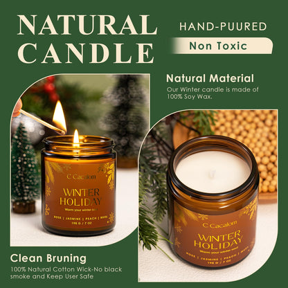 Winter Scented Candles, Holiday Candles for Home, Aromatherapy Soy Candles Gifts Set for Women Men, Vanilla/Fir/Apple Cider/Winter Holiday