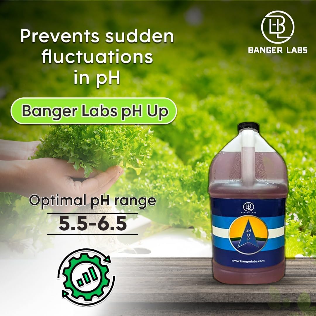 (1 Premium pH Up Solution - Corrects pH Imbalances, Maximizes Nutrient Absorption, Prevents Sickly Plants | Plant pH