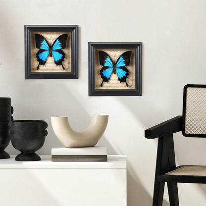 Butterfly Specimen Photo Frame,Real Butterfly Shadow Box. (Heavenly Swallow Butterfly)
