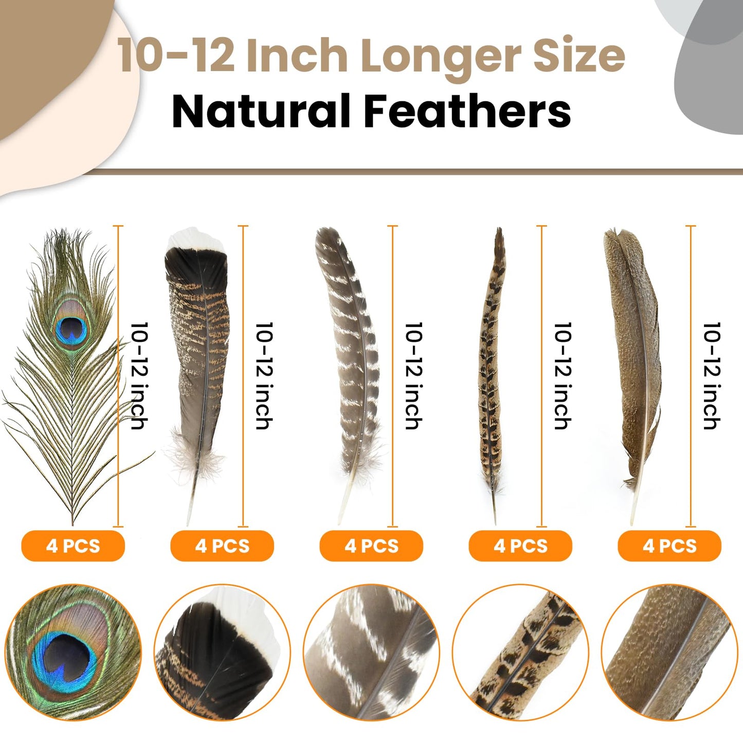 MARRTEUM 5 Style 10-12 Inch Natural Feathers, 20 Pcs Large Assorted Mixed Spotted Pheasant Peacock Turkey Feathers Decorative Bulk for DIY Crafts, Vase, Hat, Clothing, Wedding, Home, Party Decoration