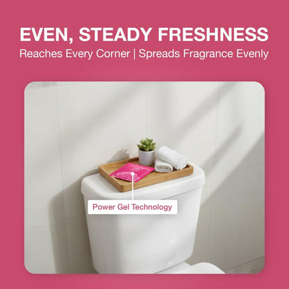 Godrej Aer Power Pocket Bathroom Fragrance - Fresh Blossom, 10g (Pack of 6)