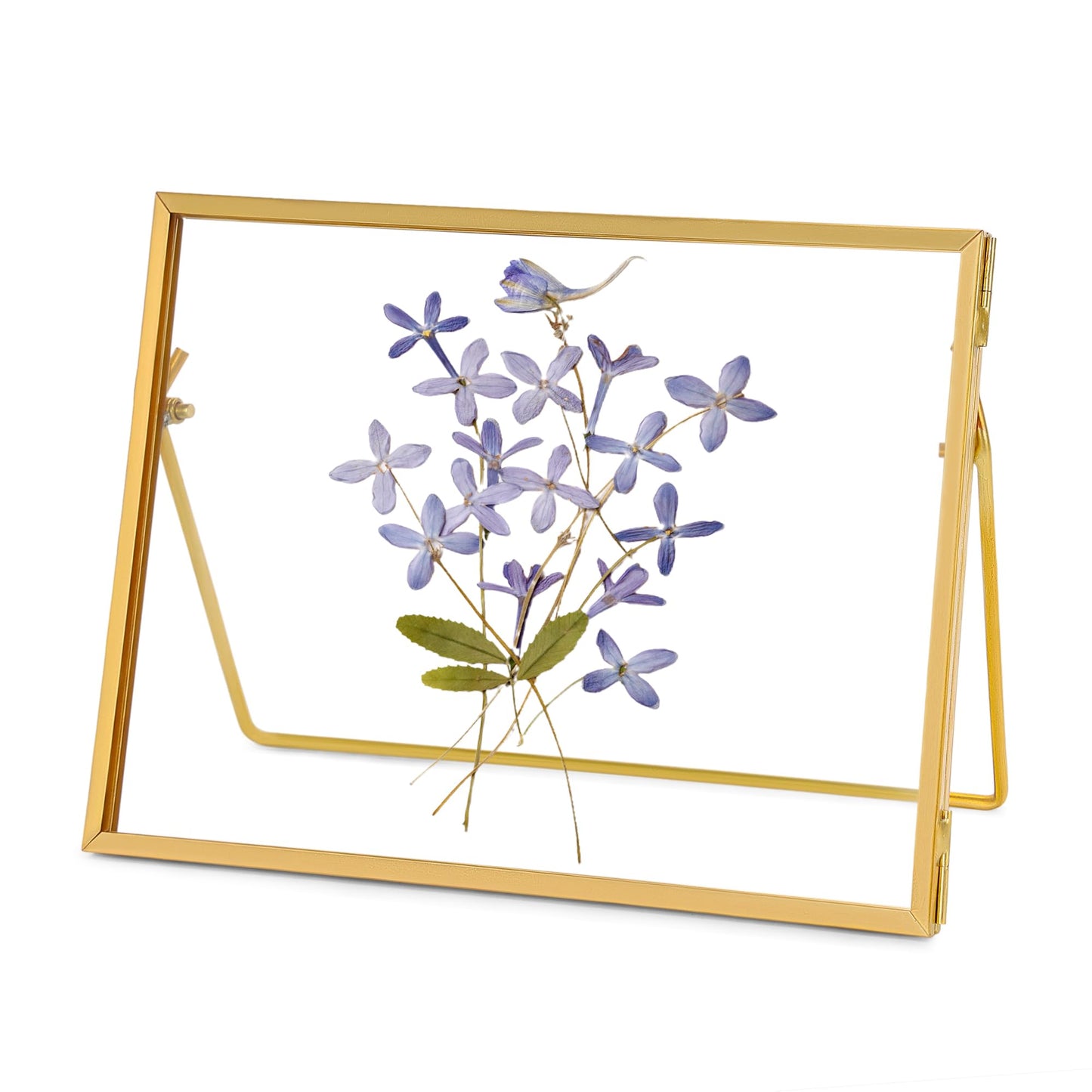 REDHUGO Glass Pressed Flower Frame Handmade, Glass Floating Picture Frames Tabletop Brass Photo Frame for DIY Dried Flowers Home Plant Specimen, Rectangle Horizontal 5×7 inches,Gold (FRAME ONLY)