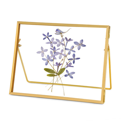 REDHUGO Glass Pressed Flower Frame Handmade, Glass Floating Picture Frames Tabletop Brass Photo Frame for DIY Dried Flowers Home Plant Specimen, Rectangle Horizontal 5×7 inches,Gold (FRAME ONLY)