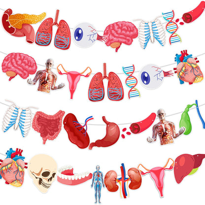 4 Strings 28 Pcs Anatomy Themed Hanging Banner, Human Body Parts Educational Cutouts Garland for Classroom Decorations, Science Party Supplies, School Learning Tools, and Medical Office Decor