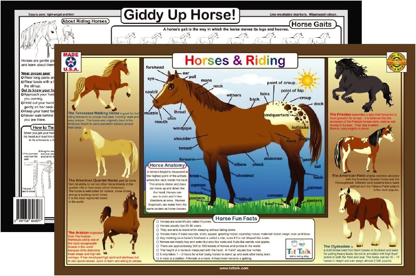 17.5 11.5 Tot Talk Horses and Riding Educational Placemat for Kids Made in USA Durable, Double-Sided, Placemat