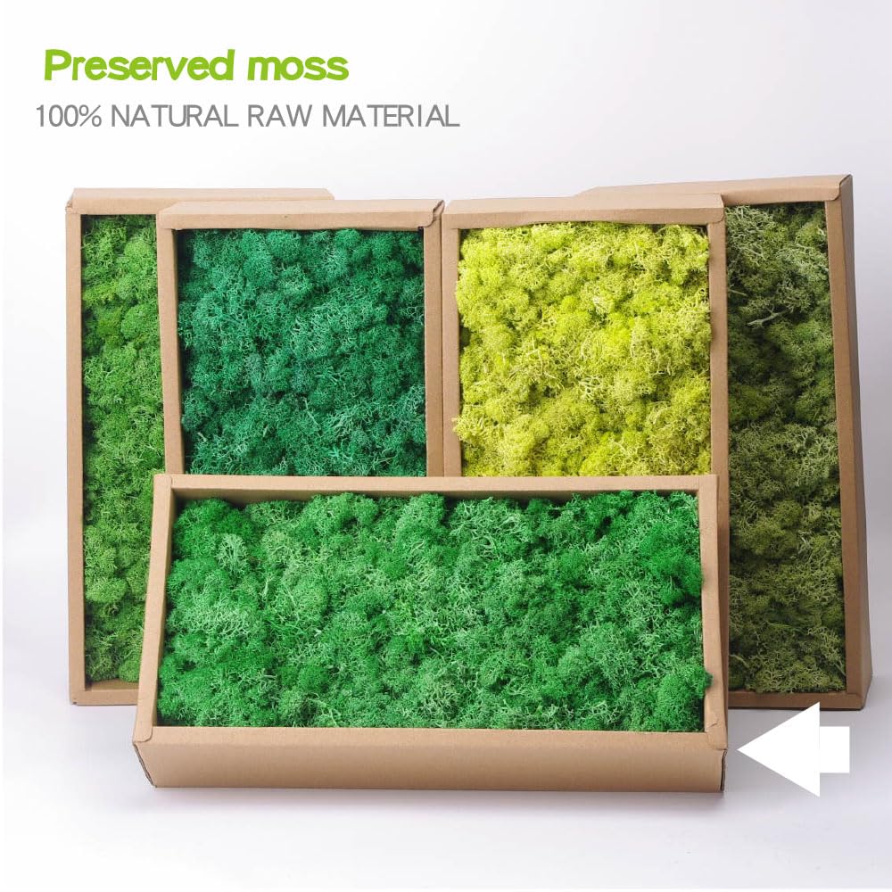 Preserved Reindeer Craft Moss-17.6oz Natural Green DIY Kit Gardenning Art Wall Florist Moss Terrariums Gardenning Decor Landscape Garden Decor(Leaf Green 17.6 OZ)
