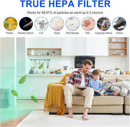 (3-Pack) True HEPA Filters Compatible with Afloia AQ8 Q8/Honati/Hysure Q7/Tenergy Sorbi DH02 Air Purifier 2-in-1
