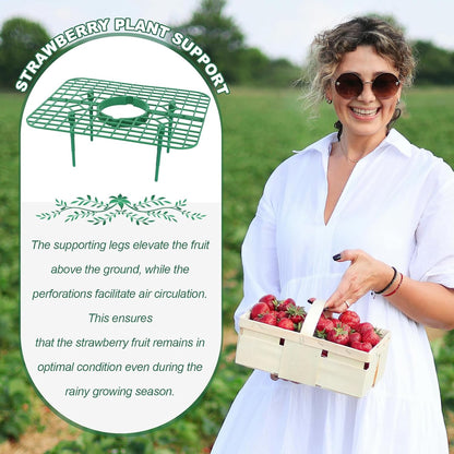 Qumenan 5 Pack 4 Strawberry Plant Support Square Strawberry Supports for Garden Green Holder Plastic Stand with Sturdy