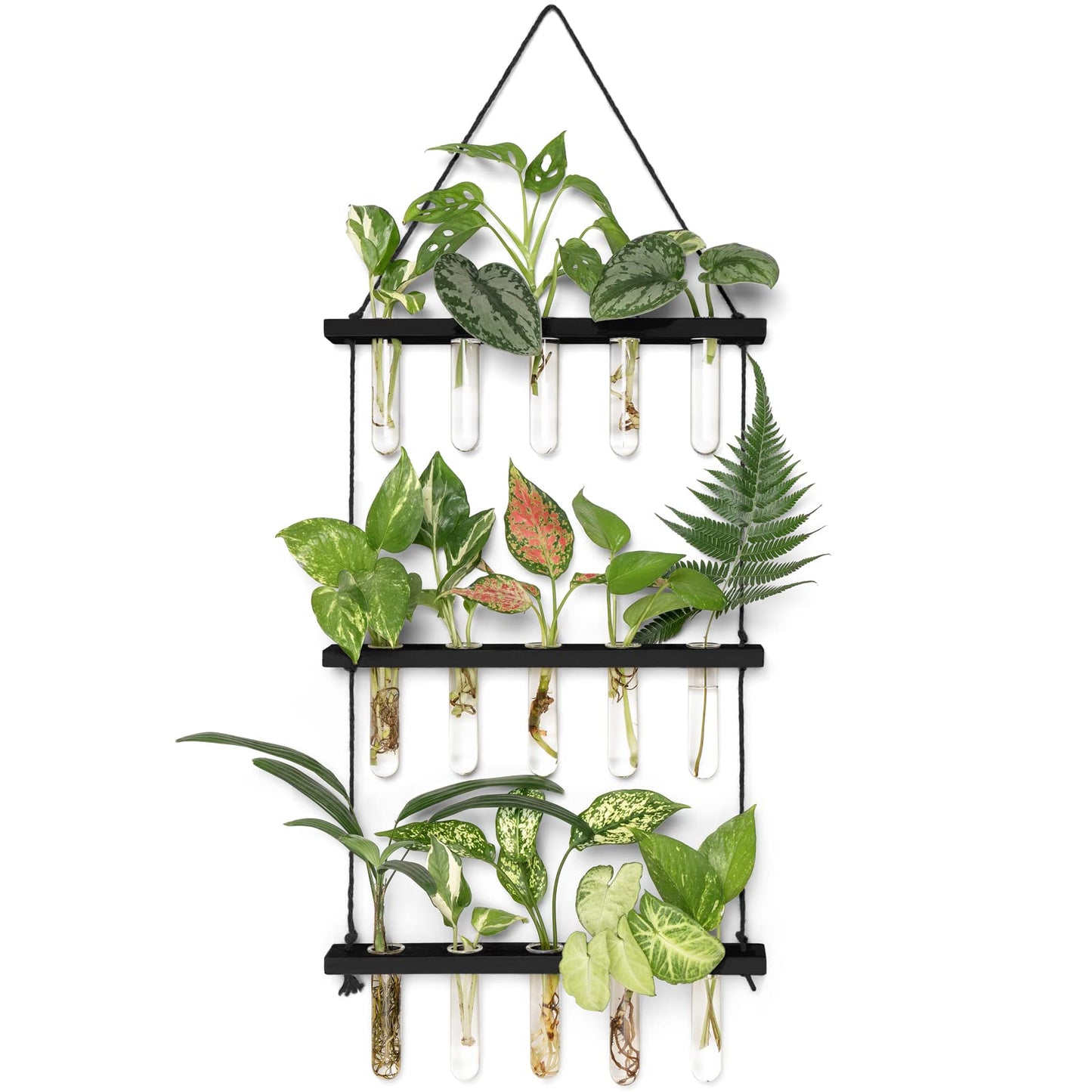 Mkono 3 Tiered Wall Hanging Plant Terrarium with Wooden Stand Mini Test Tube Flower Vase Glass Planter for Hydroponic Plant Cutting Home Garden Office Decor Gift