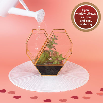 D'Eco Glass Heart Centerpiece (8x8x2.5)- Tabletop Planter Terrarium - Spring Home Decor & Wedding Letterbox - Fill with Succulents, Cacti, Air Plants, Moss, Flowers for Plant Lovers