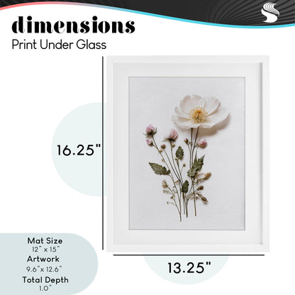 Stupell Industries Simple Pressed Flowers Gray Framed Print Under Glass, design by Lettered and Lined, 16 x 13