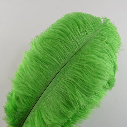 Sowder 10pcs Ostrich Feathers 12-14inch(30-35cm) for Home Wedding Decoration(Lime Green)