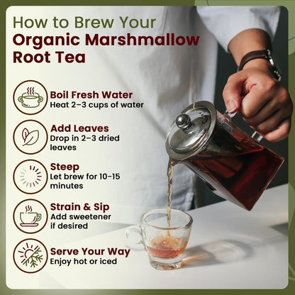 Organic Way Marshmallow Root | Herbal Tea (Althaea officinalis) Cut & Sifted - European Wild-Harvest | Organic & Kosher Certified | Non GMO & USDA Certified | Origin - Albania (1/4LBS / 4Oz)