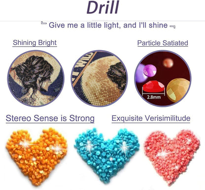 KICHANG Pink Diamond Art Kits for Adults Beginner,DIY Modern Diamond Painting 5D Round Full Drill Diamond Dots Gem Art Crafts with Tools,Funny Crafts for Home Wall Decor&Gift-12x16in