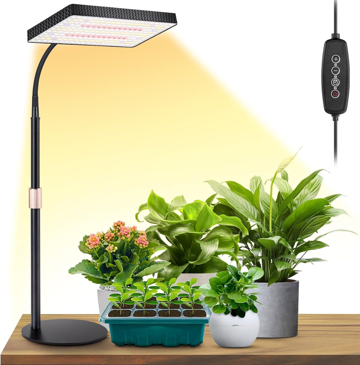 LBW 4/8/12H 10"-26" 6 Desk Grow Light, Full Spectrum Plant Light for Indoor Plants, Grow Lamps with Timer, Height