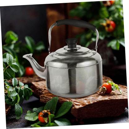 Cabilock Whistling Stainless Steel Kettle, Handheld Hot Water Teapot, Kitchen Water Boiler, Japan Anti-scald Tea Maker