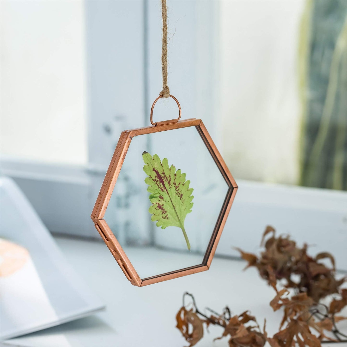 NCYP Hanging Small Rose Gold Hexagon Herbarium, Side Length 1.9 inches Handmade Copper Floating Frame for Pressed Dried Flowers Plants, Double Glass, Wall Decor, Glass Frame Only