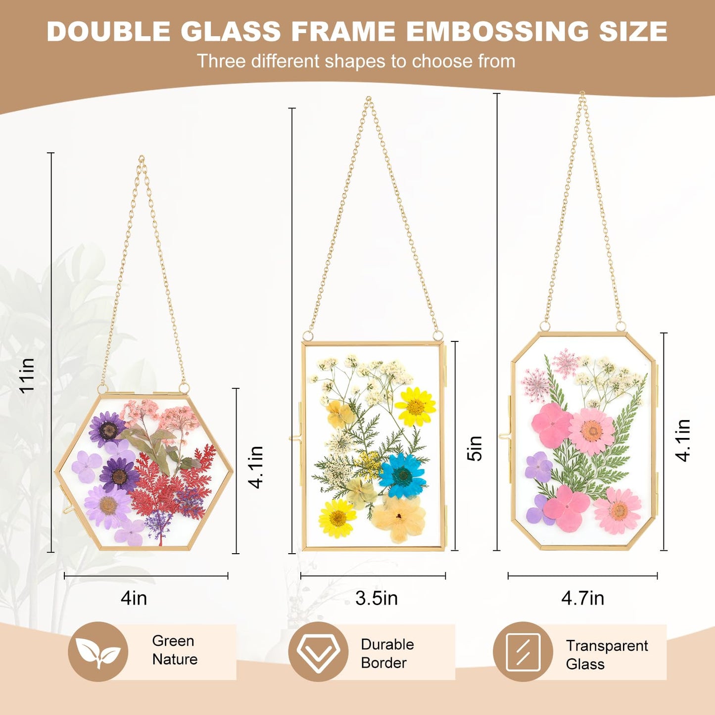 Lujechii 3 Pcs Double Glass for Pressed Flowers,Clear Brass Embossed Frame with Dried Flowers and Tweezers,Can Be Used for Dried Flower Plant Photo Postcards Wall Mounted Glass Pressed Flower Frame