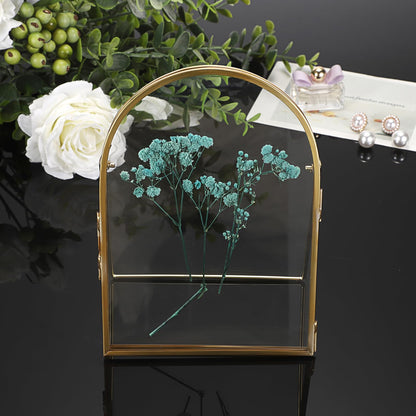 JUXYES 3 Pack Tabletop Double Glass Brass Frame for Pressed Flowers, Arch Double Sided Glass Frame Gold Floating Artwork Display Frames for Photo, Picture, Dried Pressed Flower, etc, 5x7 Inches