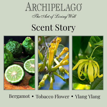 Archipelago Botanicals Havana Glass Jar Candle, Bergamot, Tobacco Flower and Ylang Ylang Scent, Lead-Free Candle Wicks, Burns Approx. 60 Hours (8.6 oz)