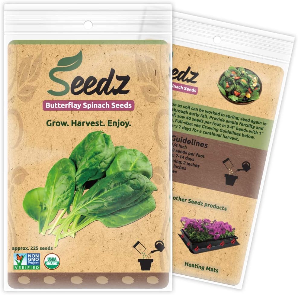 225, Organic Spinach Seeds, APPR. Butterflay Spinach, Heirloom Vegetable Seeds, Certified Organic, Non GMO, Non Hybrid