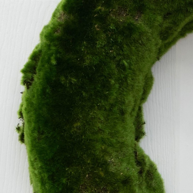 Nearly Natural 18in. Moss Artificial Wreath