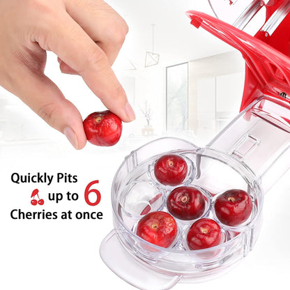 Brighoot Cherry Pitter – Multi Cherry Corer with Rebound & Lock Design, Pits 6 Cherries at Once, Easy Cherry Jam & Baking Tool, Dishwasher Safe