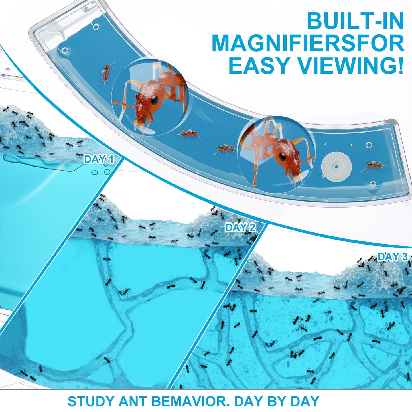 Acellegic Ant Farm Terrarium Kit Giant Ant Farm Large Viewing Area Care for Live Ants Nature Learning DIY Kit Great Gift(Classic Style,Blue)