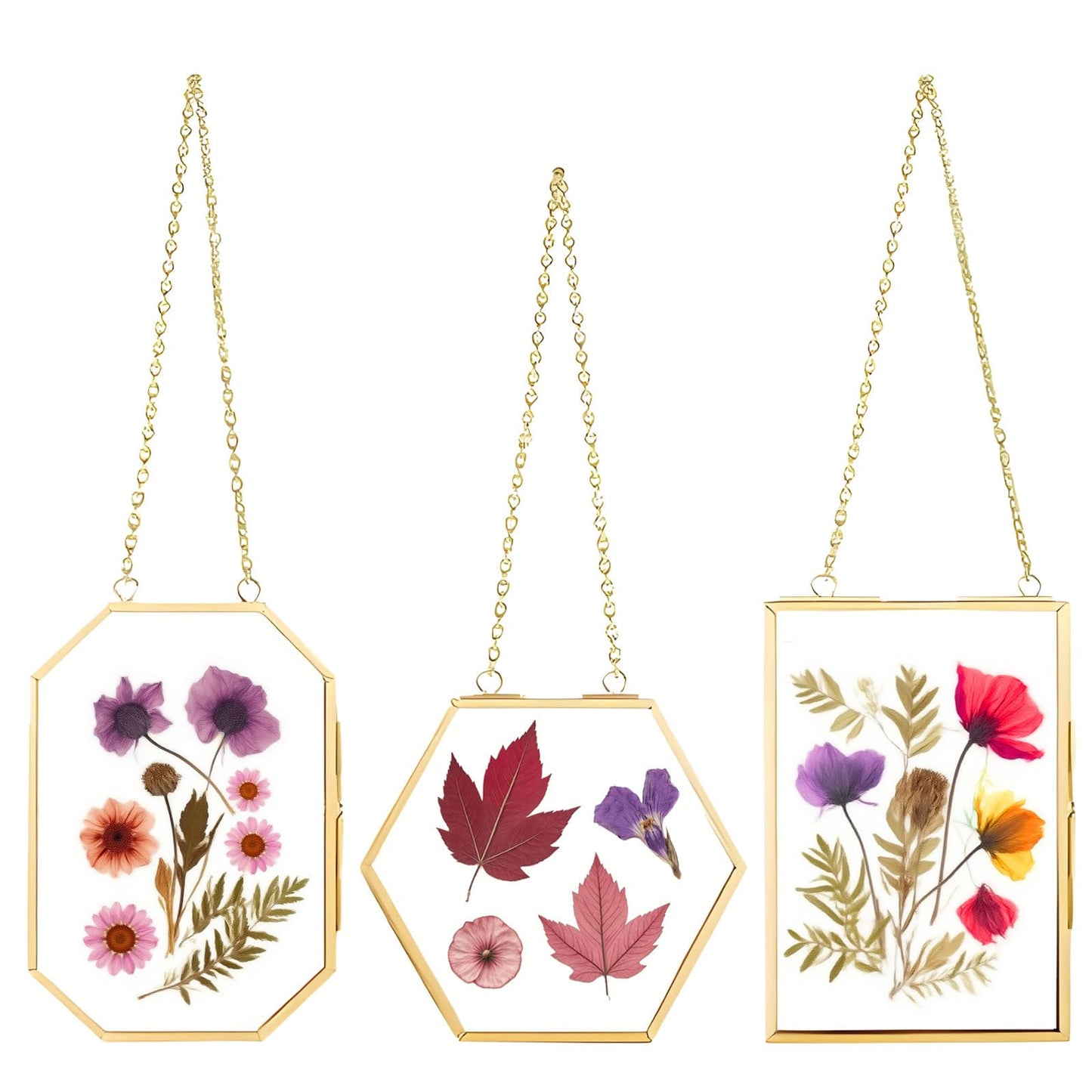 PWMENLK 3 Pcs Pressed Flowers Frame Glass Frame, for Photo Picture Plant Specimen Display, Decorations for Home DIY Dried Flower Preservation Kit, Wall Decor Art