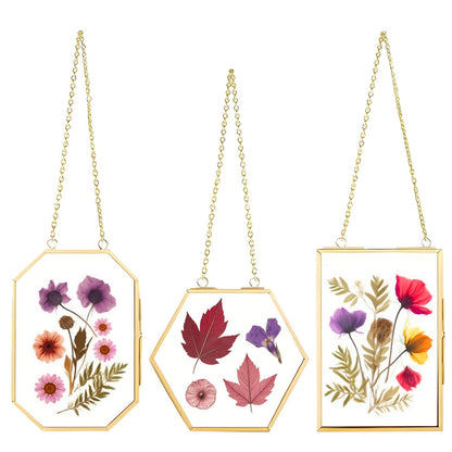 PWMENLK 3 Pcs Pressed Flowers Frame Glass Frame, for Photo Picture Plant Specimen Display, Decorations for Home DIY Dried Flower Preservation Kit, Wall Decor Art