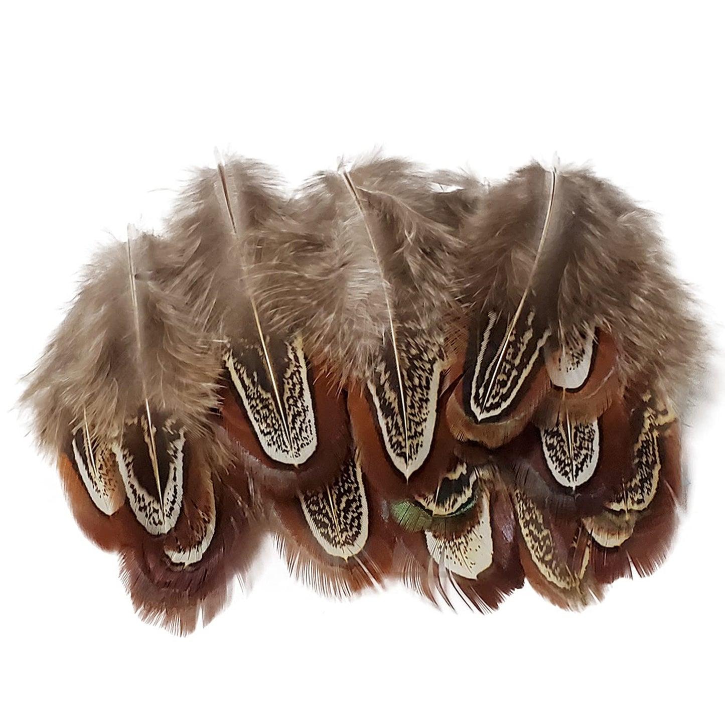 200 pcs Natural Pheasant Plumage Feathers 2-3 Inches Plumage Feathers for Sewing Crafts Clothing Decorating Accessories -Nature
