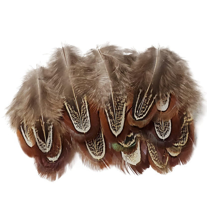 200 pcs Natural Pheasant Plumage Feathers 2-3 Inches Plumage Feathers for Sewing Crafts Clothing Decorating Accessories -Nature
