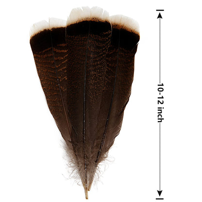 THARAHT 24pcs Natural Wild Turkey Tails Feathers Quill Bulk 10-12inch 25-30cm for DIY Crafts Project Collection Wedding Decoration Wild Turkey Tails Feather