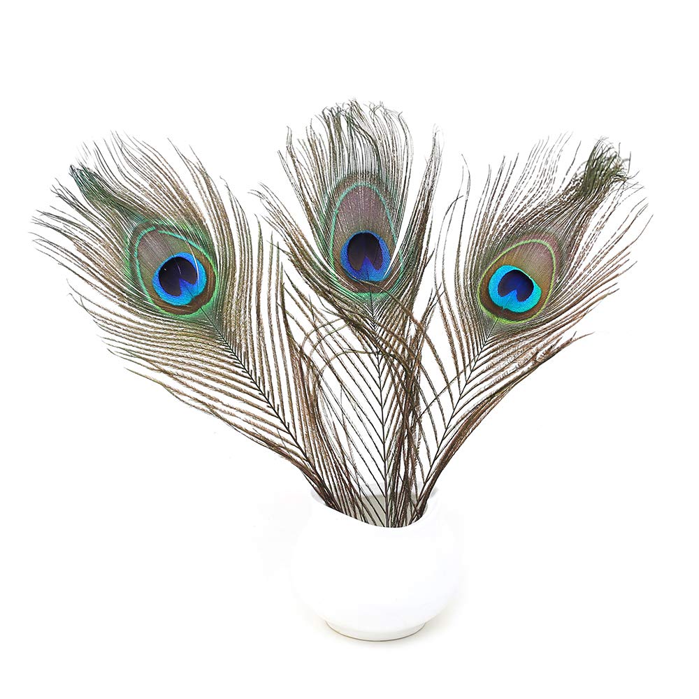 60 PCS Real Natural Peacock Eye Feathers 10-12 inch for DIY Craft, Wedding and Holiday Decorations